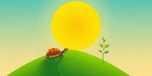 La clave del éxito: Disciplina en tus inversiones